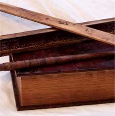 Wand Case Inside 